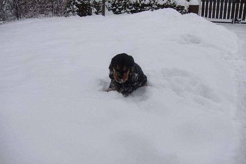 Art_25.1.2010 (14).JPG